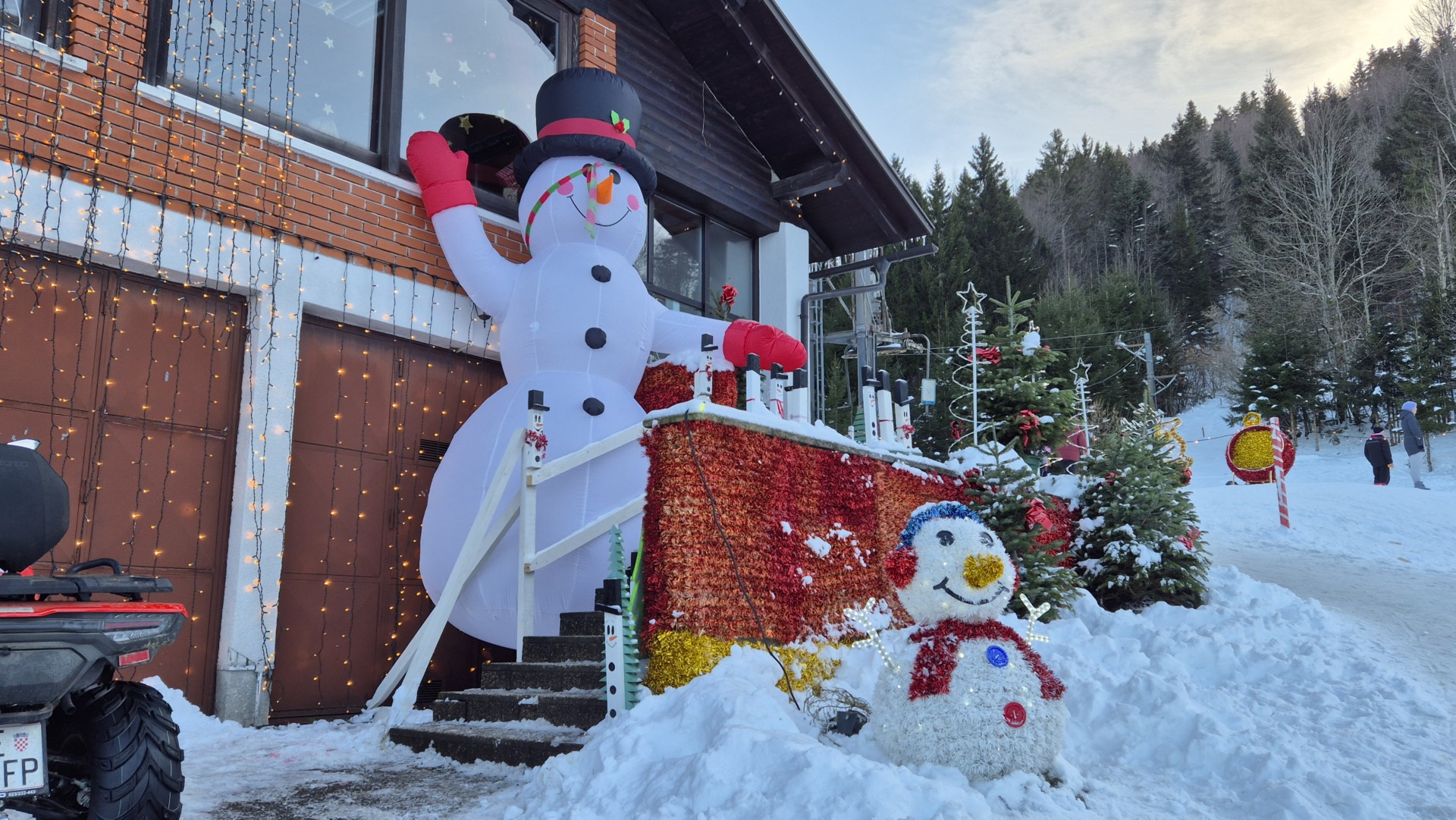 tršće 223 tršće 223