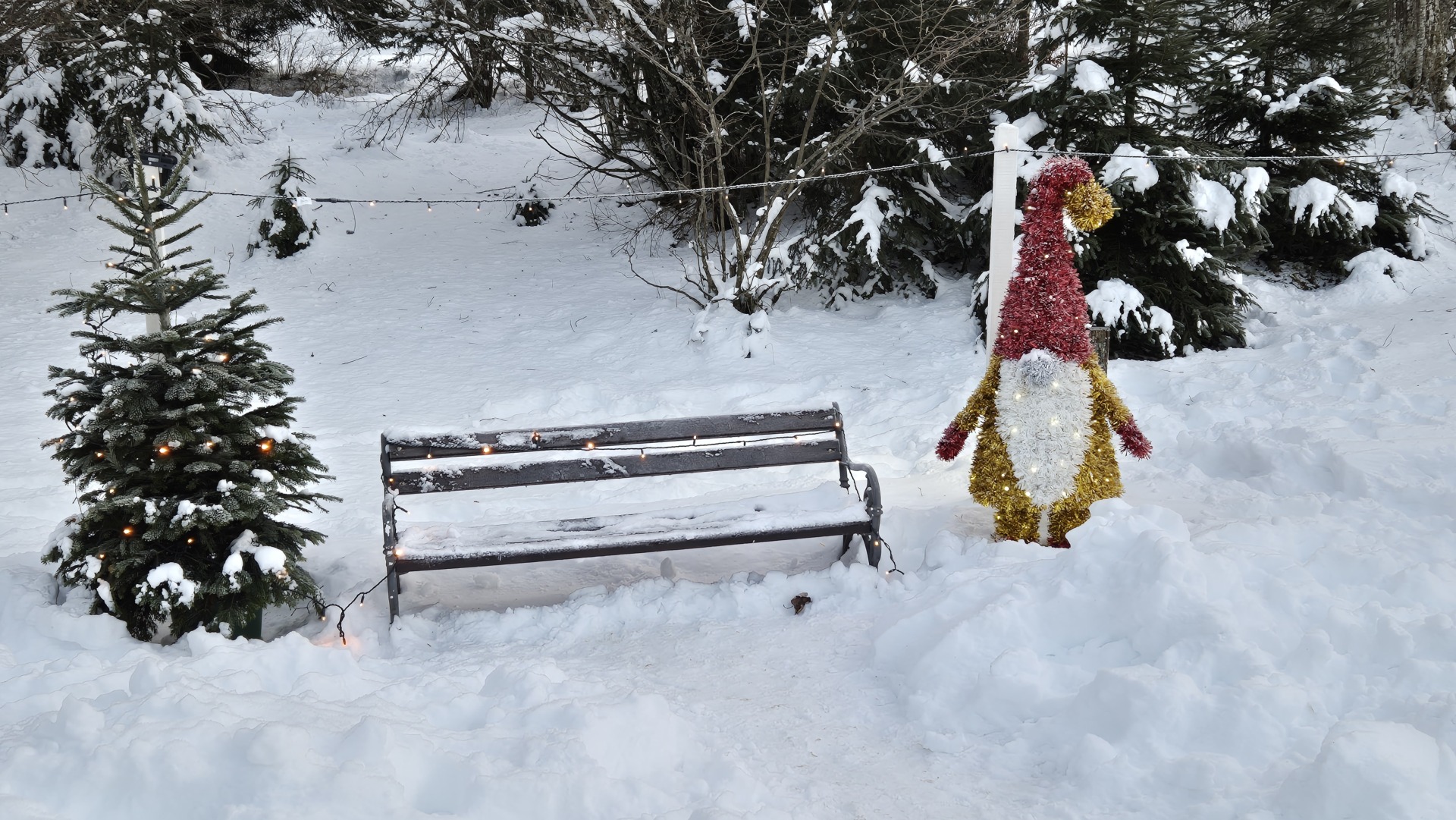 tršće 225 tršće 225