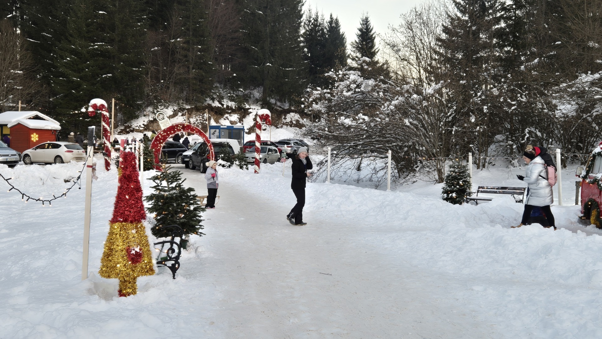 tršće 226 tršće 226