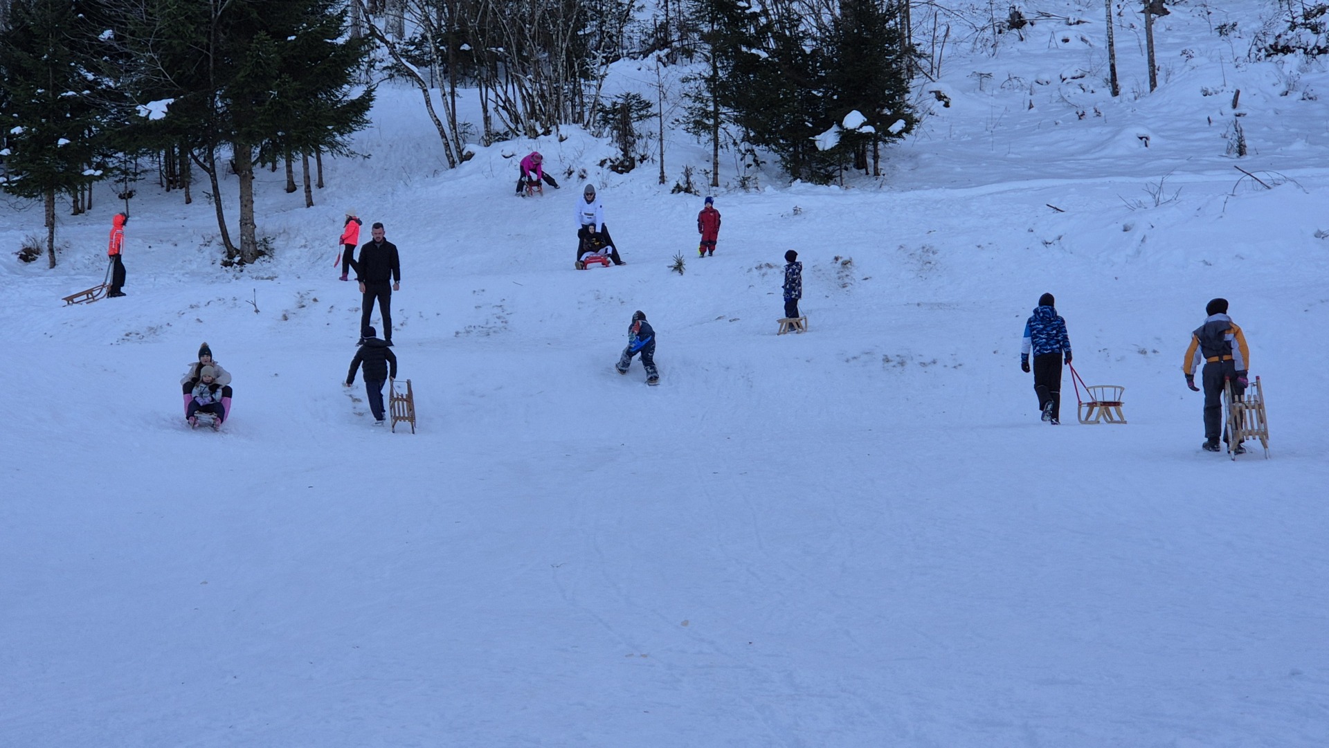 tršće 228 tršće 228