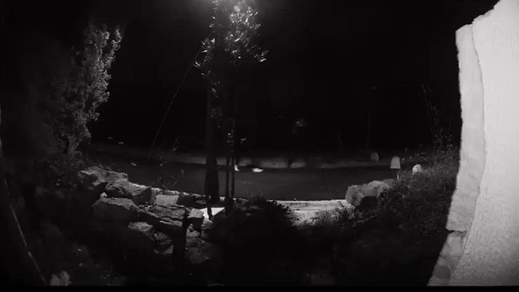 1024×576-ba055070-9d09-11eb-a6aa-cedfb09875dd (17) 1024×576-ba055070-9d09-11eb-a6aa-cedfb09875dd (17)