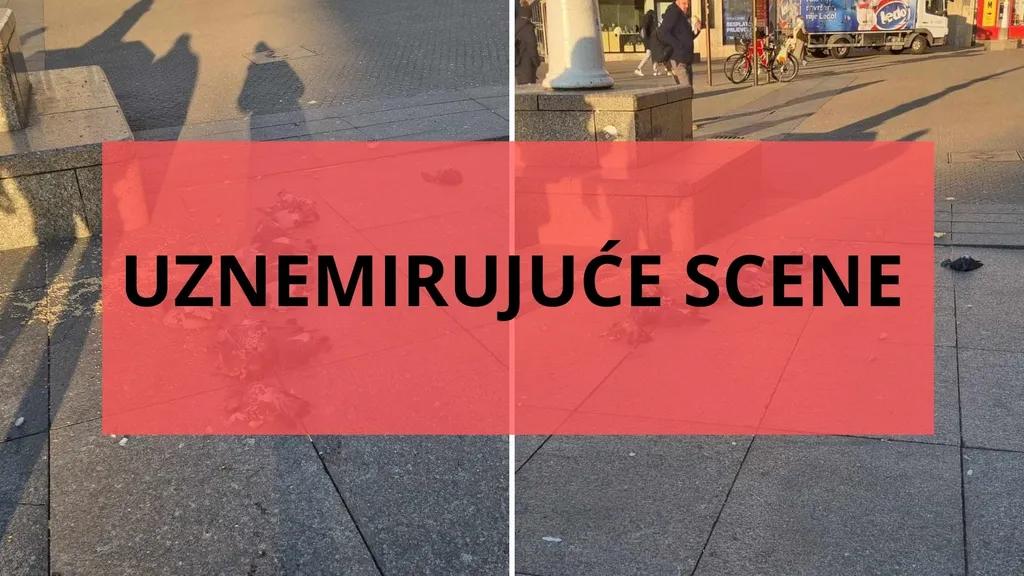 1024×576-ba055070-9d09-11eb-a6aa-cedfb09875dd 1024×576-ba055070-9d09-11eb-a6aa-cedfb09875dd