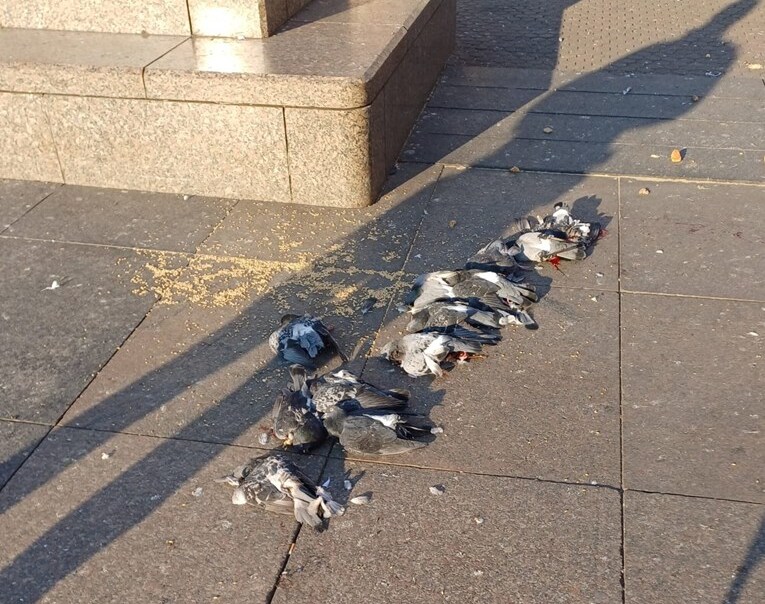 15aa0aef-bf0d-40ec-b8d6-1214cfb4186b (1) 15aa0aef-bf0d-40ec-b8d6-1214cfb4186b (1)