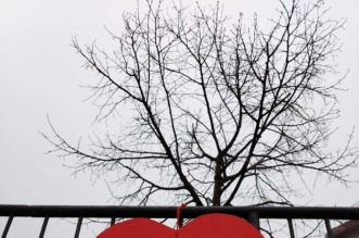 479964499_1000352748575930_827490638288851680_n 479964499_1000352748575930_827490638288851680_n