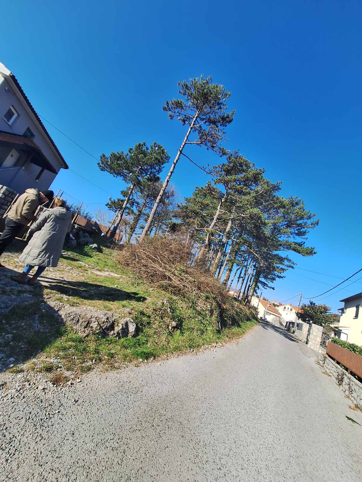 480521083_1138435444736857_2040379967421323092_n 480521083_1138435444736857_2040379967421323092_n