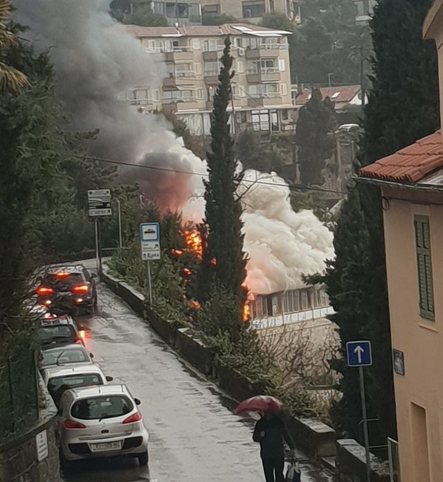 480789684_10236723015033371_2379198132091089636_n