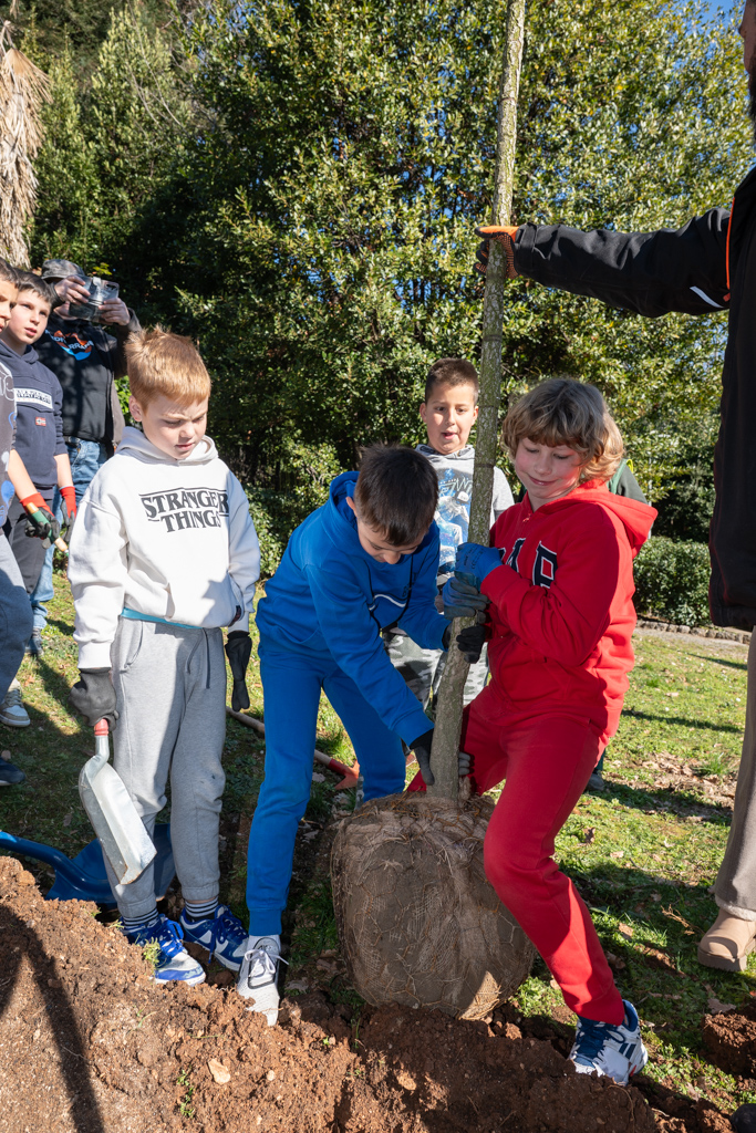 481229459_1014406490593393_2835600694790351739_n 481229459_1014406490593393_2835600694790351739_n