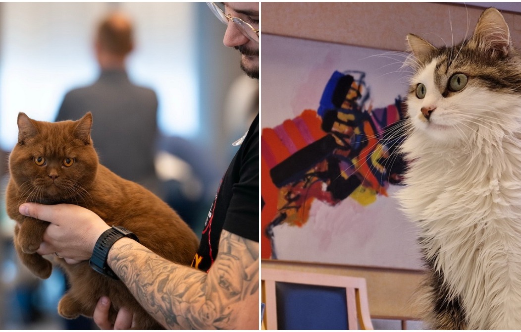 BeFunky-collage (16)