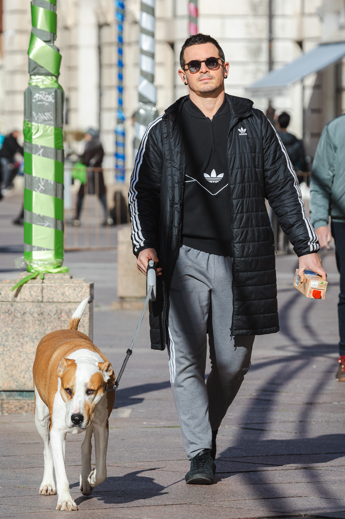 Dario proba-8543 Dario proba-8543