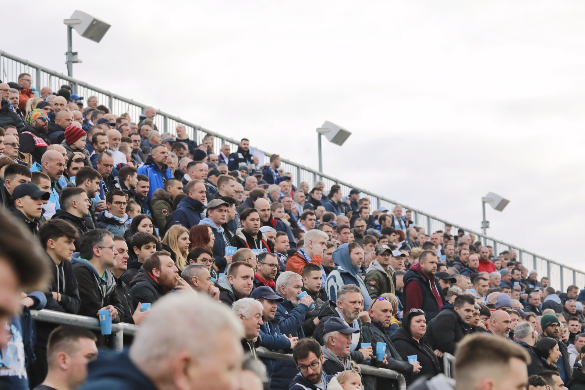 IMG_20250209_163050 IMG_20250209_163050