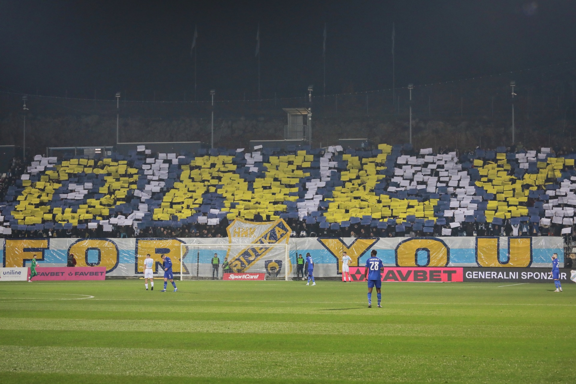 IMG_20250222_183228 IMG_20250222_183228