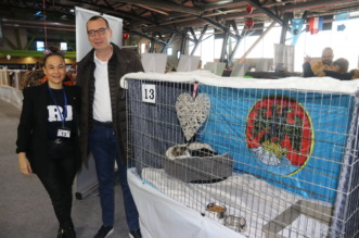 Medunarodna-izlozba-macaka-u-Atletskoj-dvorani-1