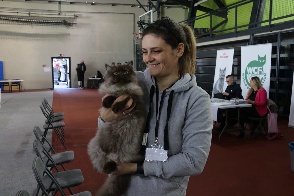 Medunarodna-izlozba-macaka-u-Atletskoj-dvorani-10