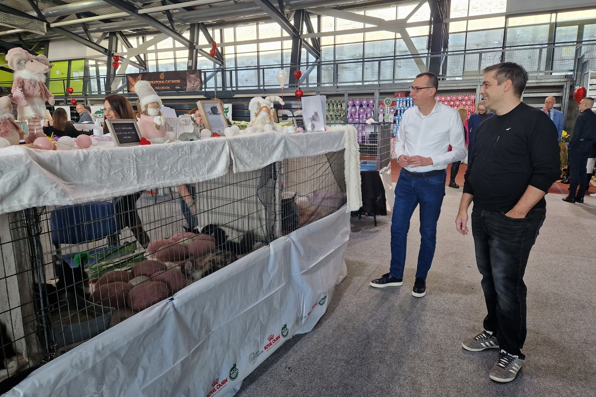 Medunarodna-izlozba-macaka-u-Atletskoj-dvorani-11