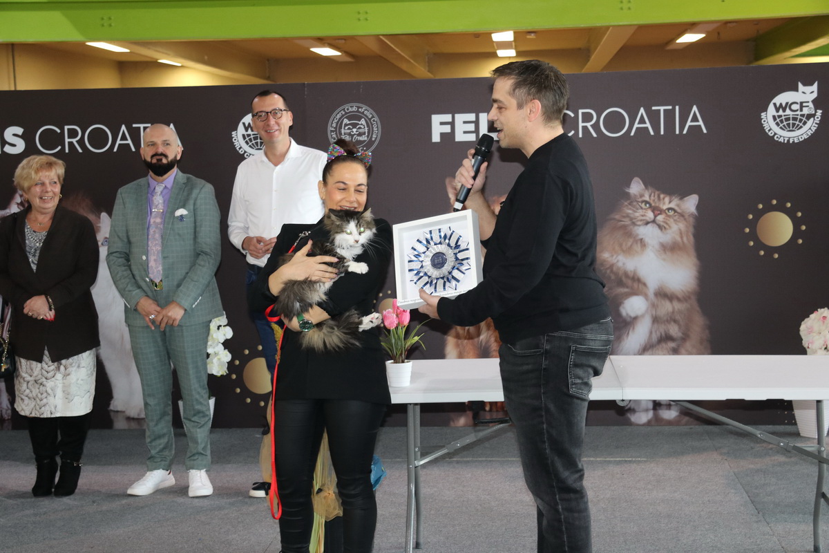 Medunarodna-izlozba-macaka-u-Atletskoj-dvorani-2