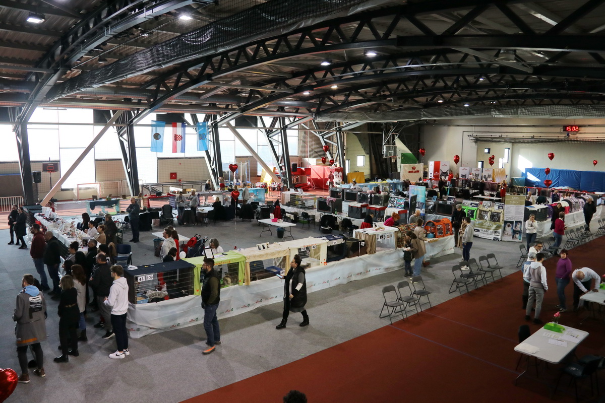 Medunarodna-izlozba-macaka-u-Atletskoj-dvorani-4