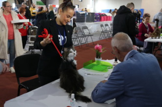 Medunarodna-izlozba-macaka-u-Atletskoj-dvorani-7