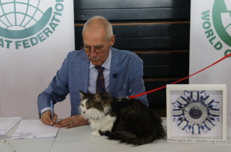 Medunarodna-izlozba-macaka-u-Atletskoj-dvorani-8