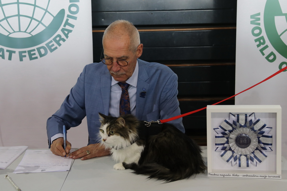 Medunarodna-izlozba-macaka-u-Atletskoj-dvorani-8