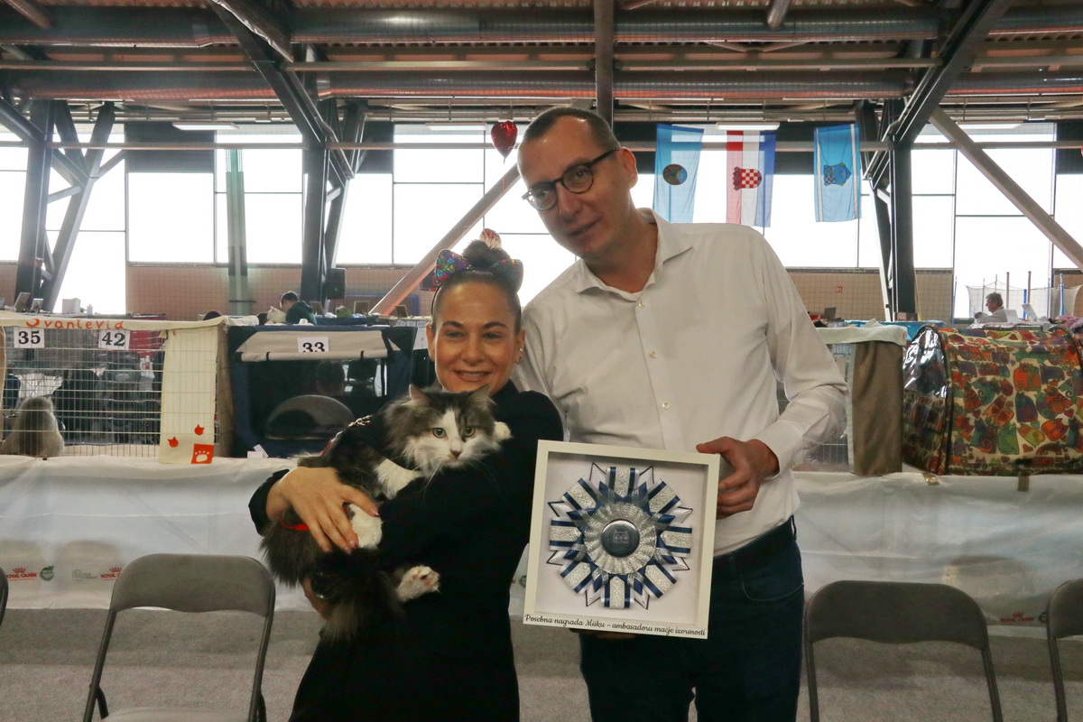 Medunarodna-izlozba-macaka-u-Atletskoj-dvorani-9