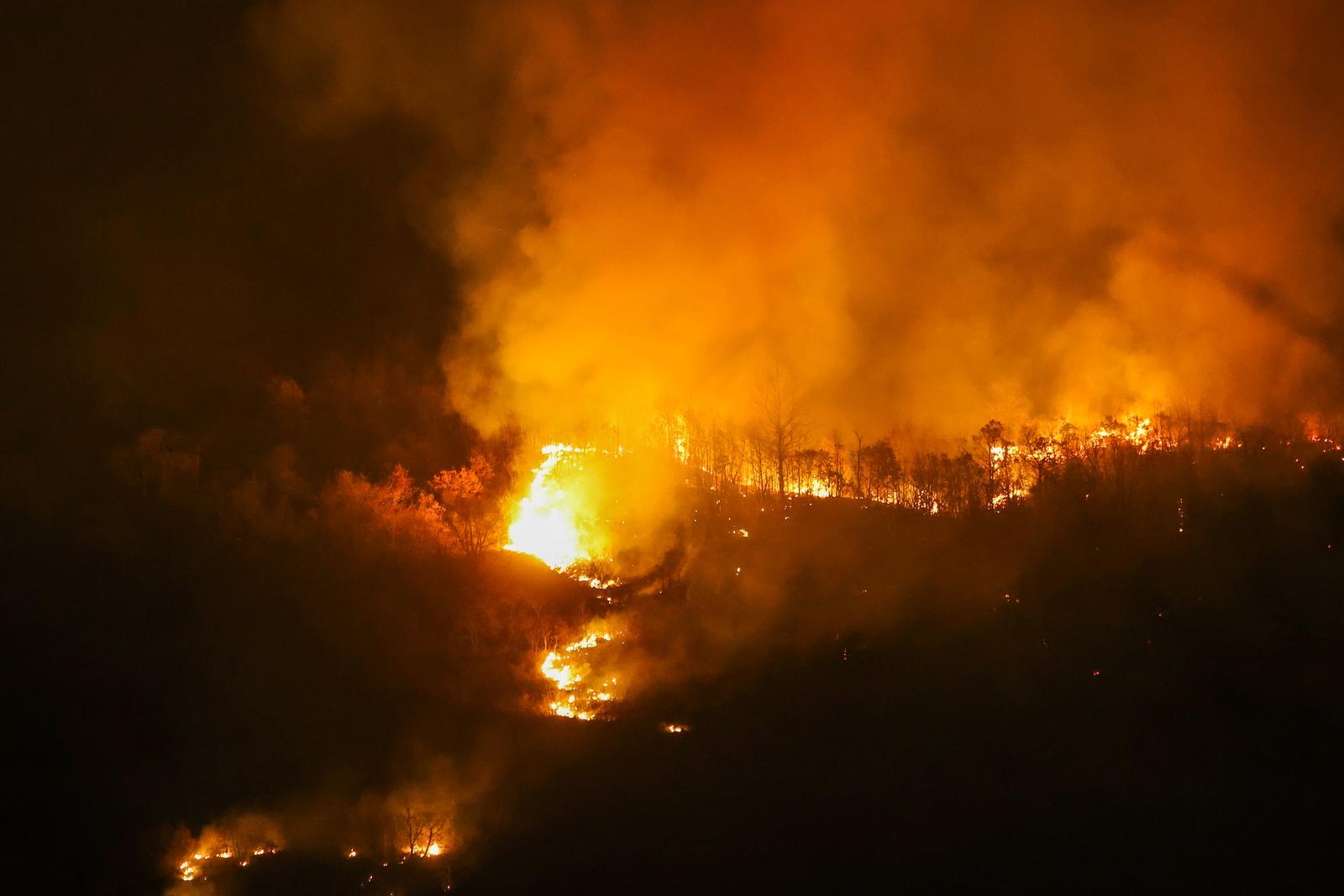 Požar koji je poslijepodne izbio podno Učke sad je pod kontrolom Požar koji je poslijepodne izbio podno Učke sad je pod kontrolom