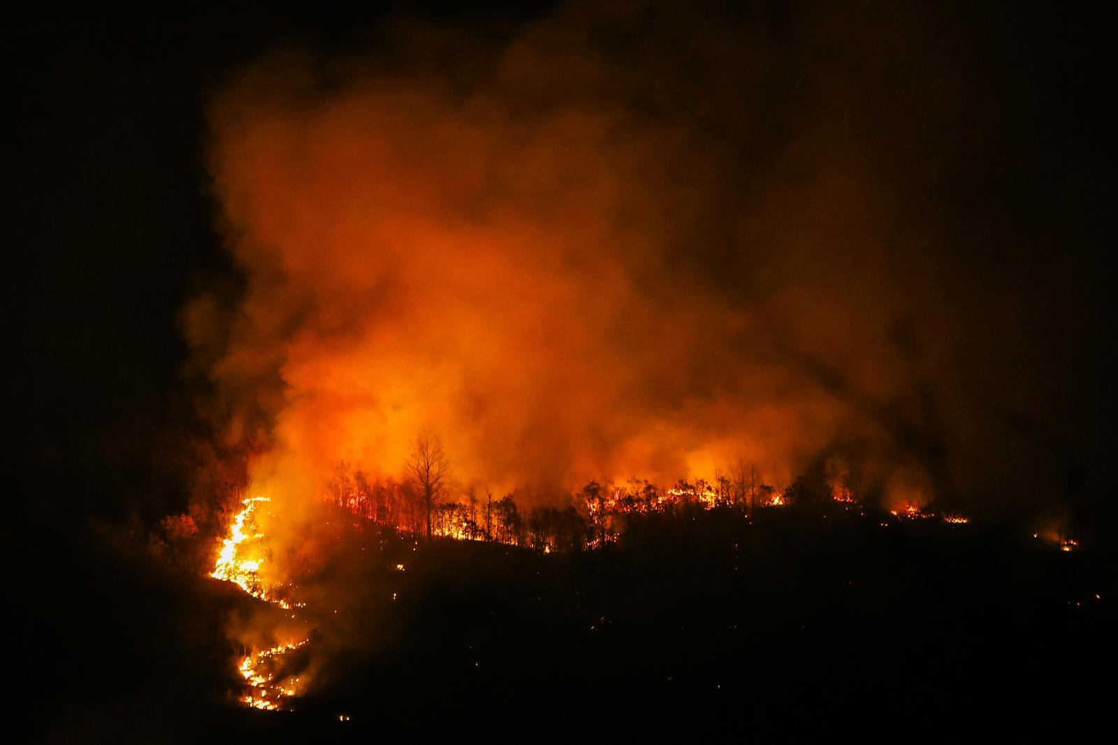 Požar koji je poslijepodne izbio podno Učke sad je pod kontrolom Požar koji je poslijepodne izbio podno Učke sad je pod kontrolom
