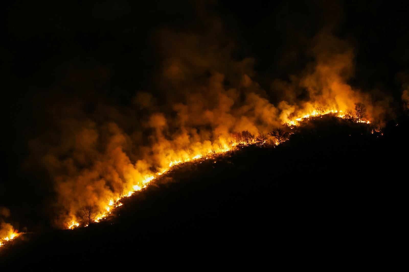 Požar koji je poslijepodne izbio podno Učke sad je pod kontrolom Požar koji je poslijepodne izbio podno Učke sad je pod kontrolom