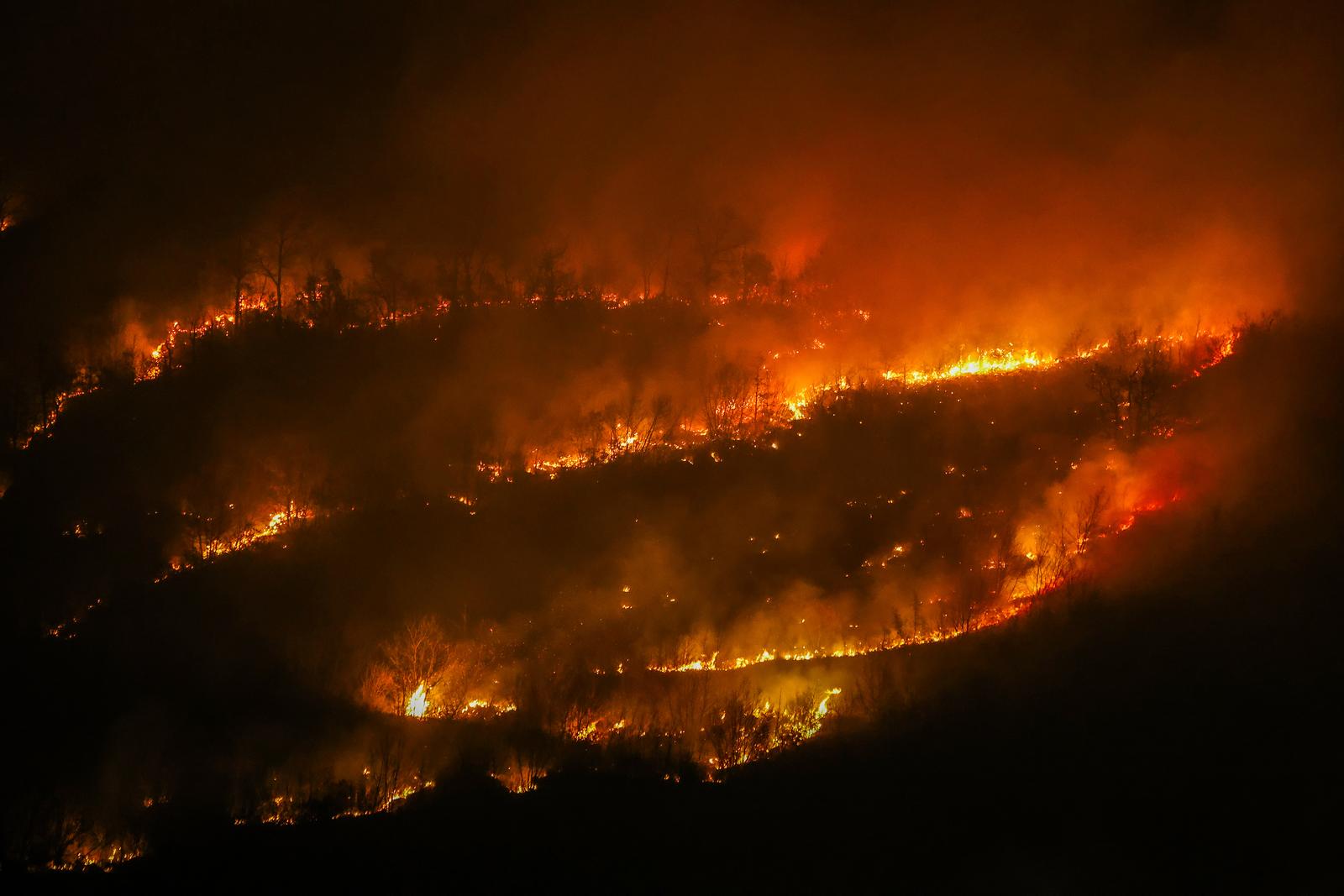 Požar koji je poslijepodne izbio podno Učke sad je pod kontrolom Požar koji je poslijepodne izbio podno Učke sad je pod kontrolom