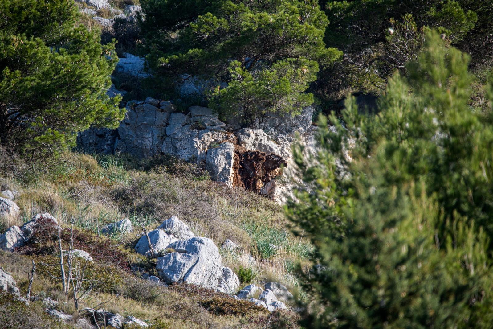 Stijena se odlomila i pala na kombi na magistrali kod Dubrovnika Stijena se odlomila i pala na kombi na magistrali kod Dubrovnika