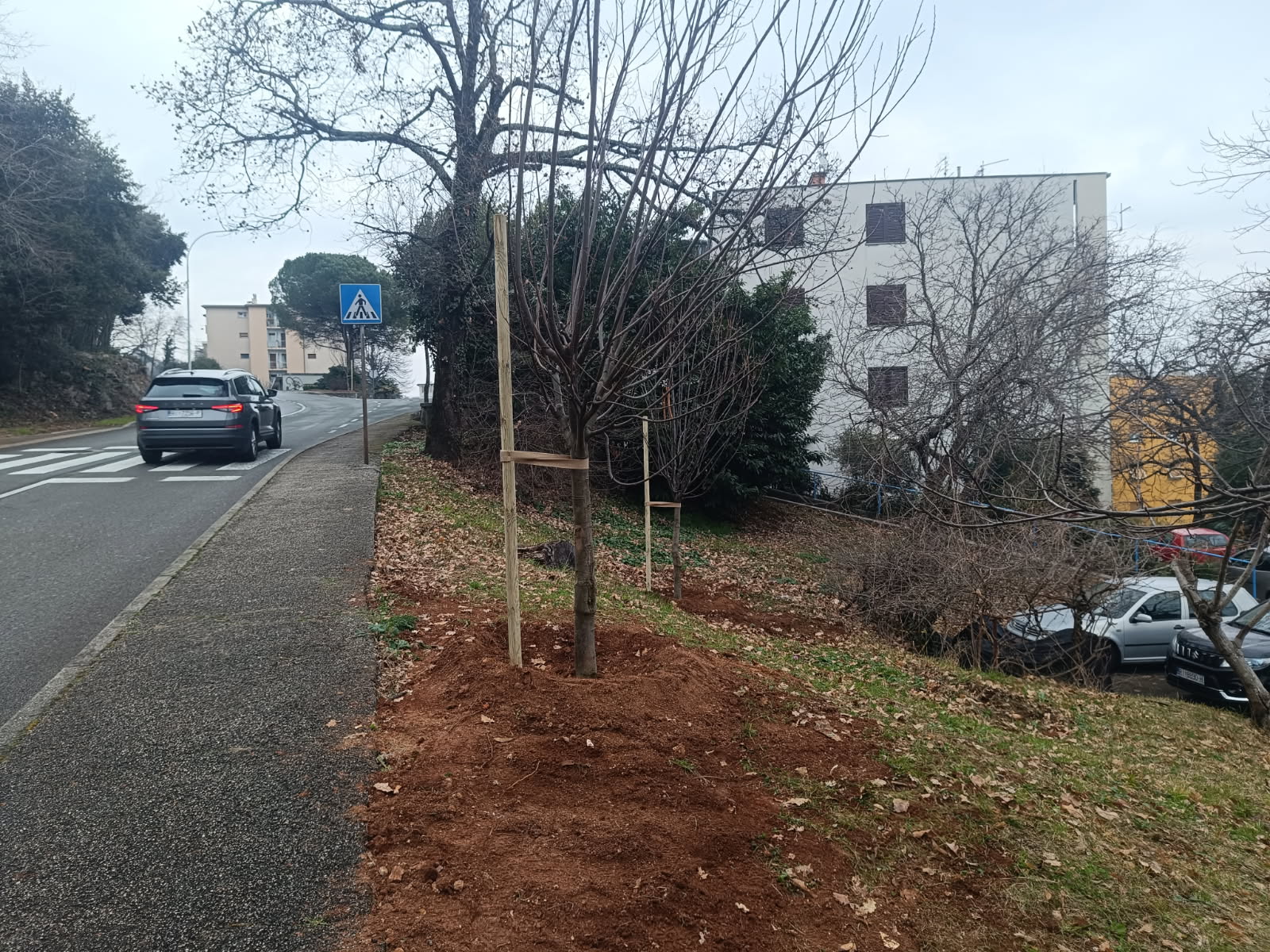 opatija ozelenjavanje (7)