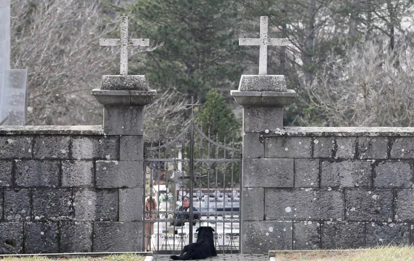 pxl-300125-127496920