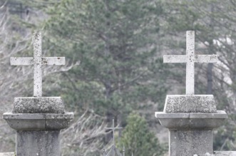 Tijarica: Pas Bruno svakodnevno obilazi groblje gdje je pokopan njegov vlasnik