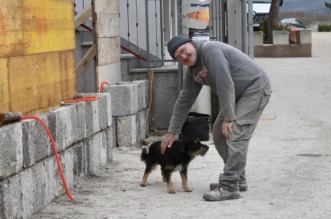 Tijarica: Pas Bruno svakodnevno obilazi groblje gdje je pokopan njegov vlasnik