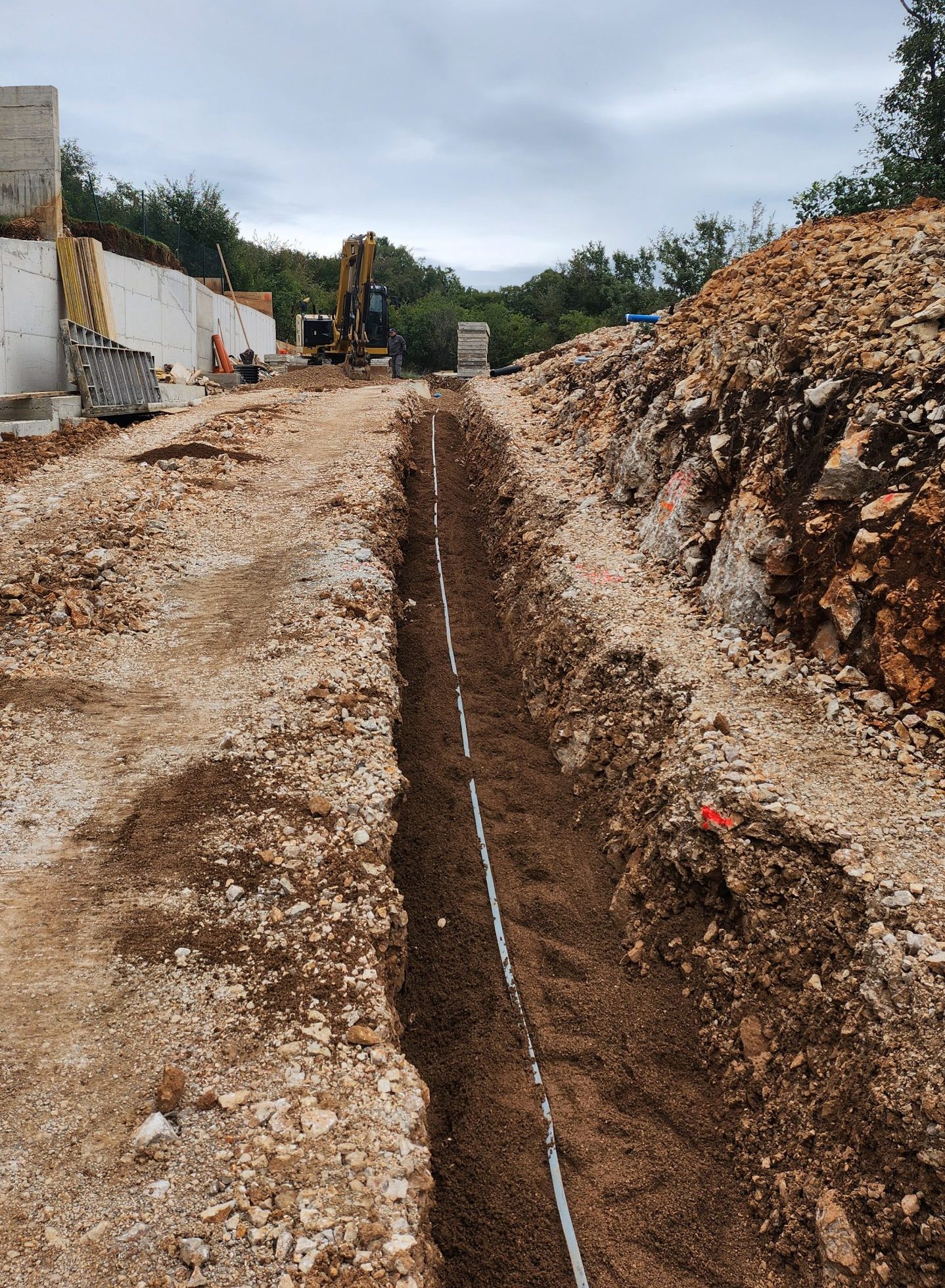 20241007_120920-scaled-e1743001204122 20241007_120920-scaled-e1743001204122