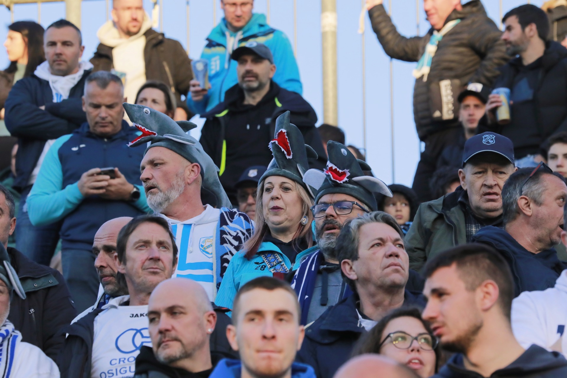 IMG_20250316_175627 IMG_20250316_175627