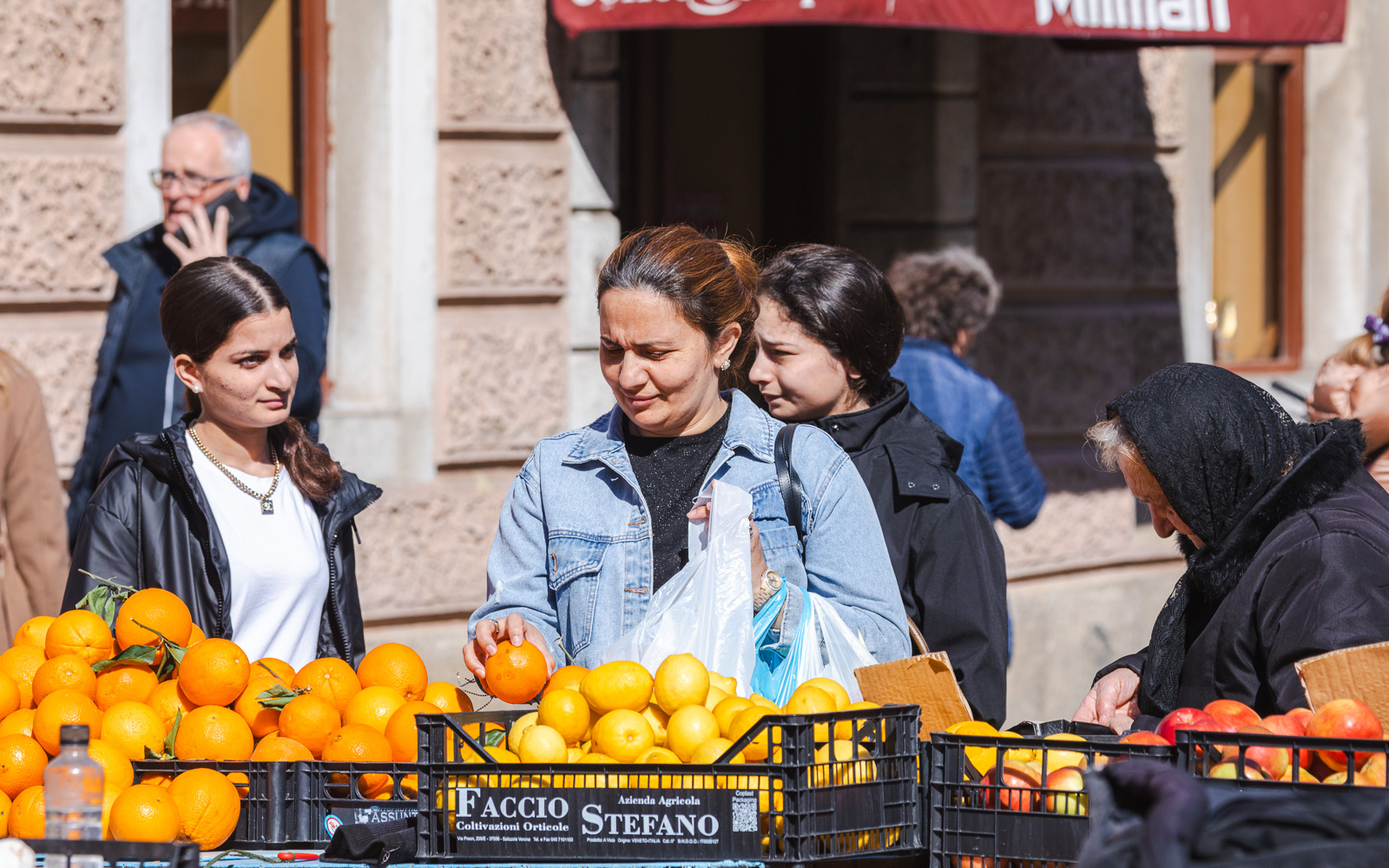 Ilustrativna proljeće (2)