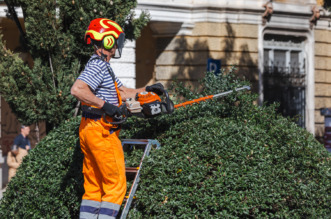 Ilustrativna proljeće -2744