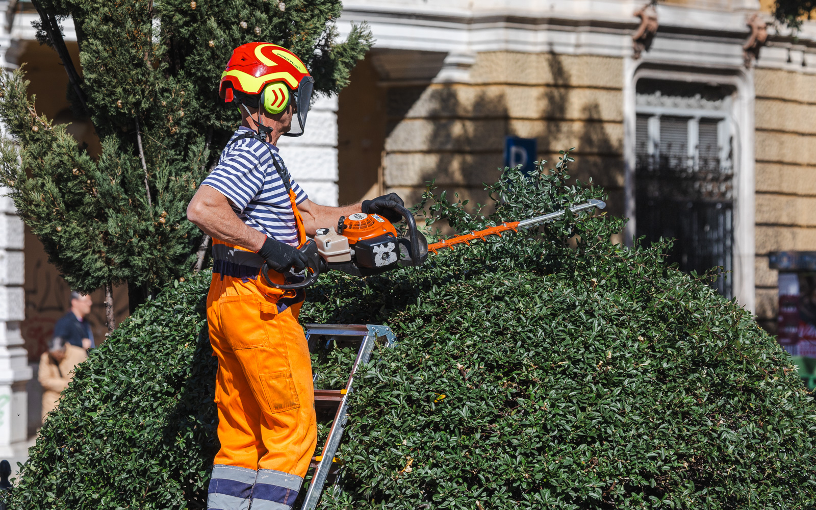 Ilustrativna proljeće -2744