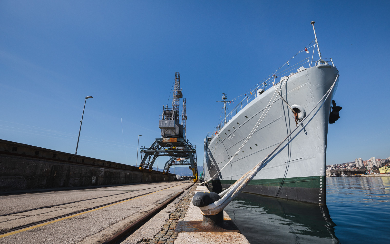 Ilustrativna proljeće galeb-2795