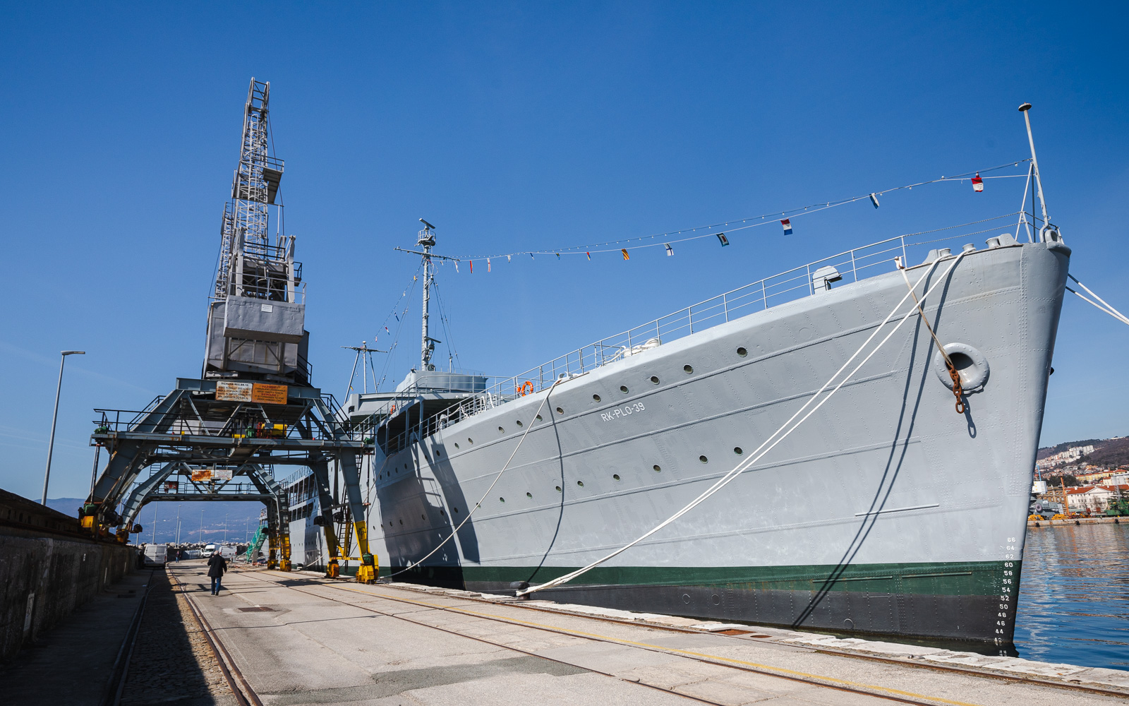 Ilustrativna proljeće galeb-2799