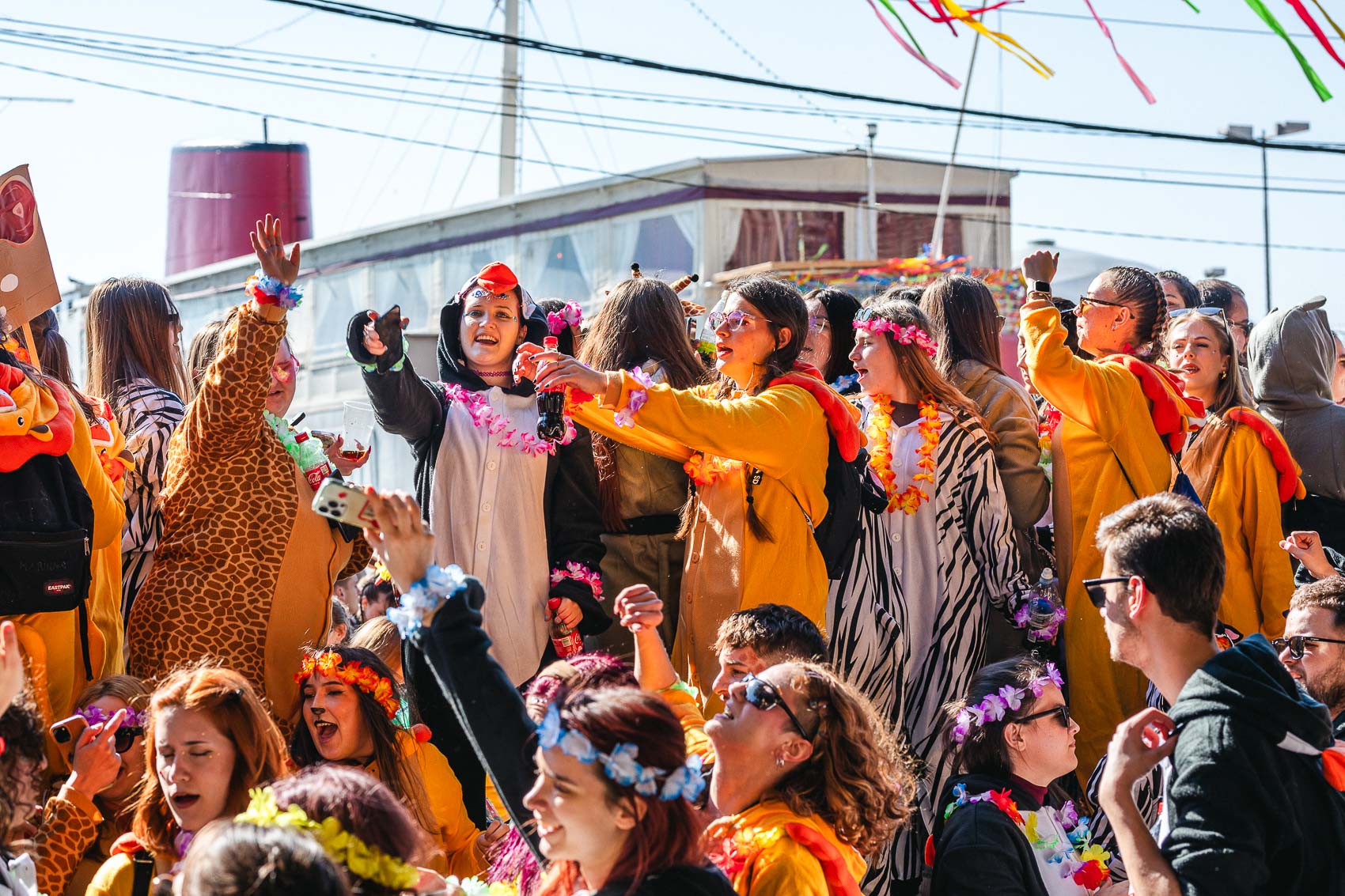 Karneval 2025-0781 Karneval 2025-0781