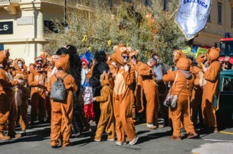 Karneval 2025-1013 Karneval 2025-1013