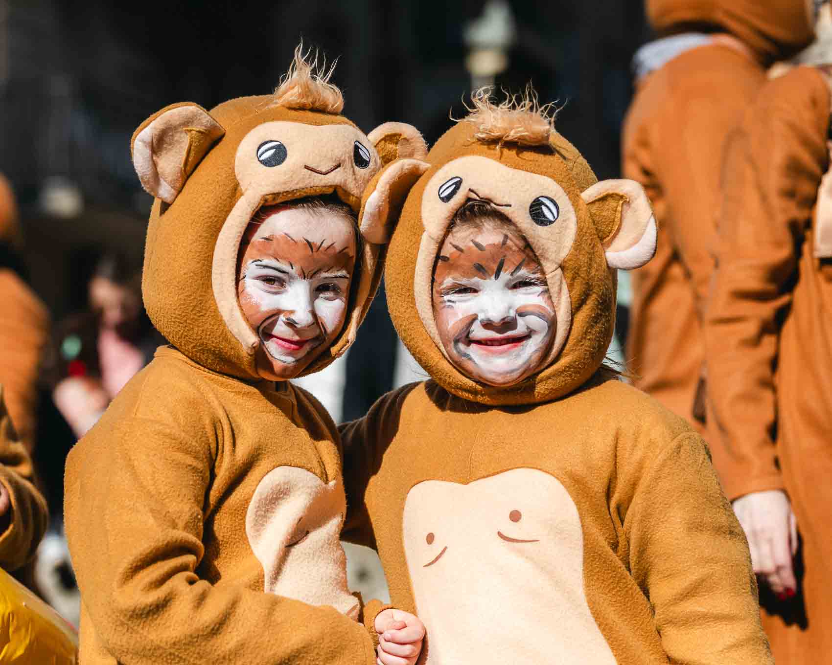 Karneval 2025-1084 Karneval 2025-1084