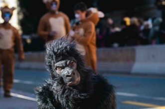 Karneval 2025-1086 Karneval 2025-1086