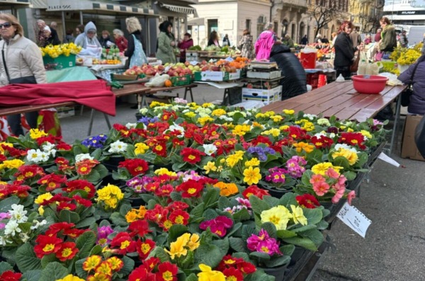 tržnica placa rijeka plus veljača 2025 12