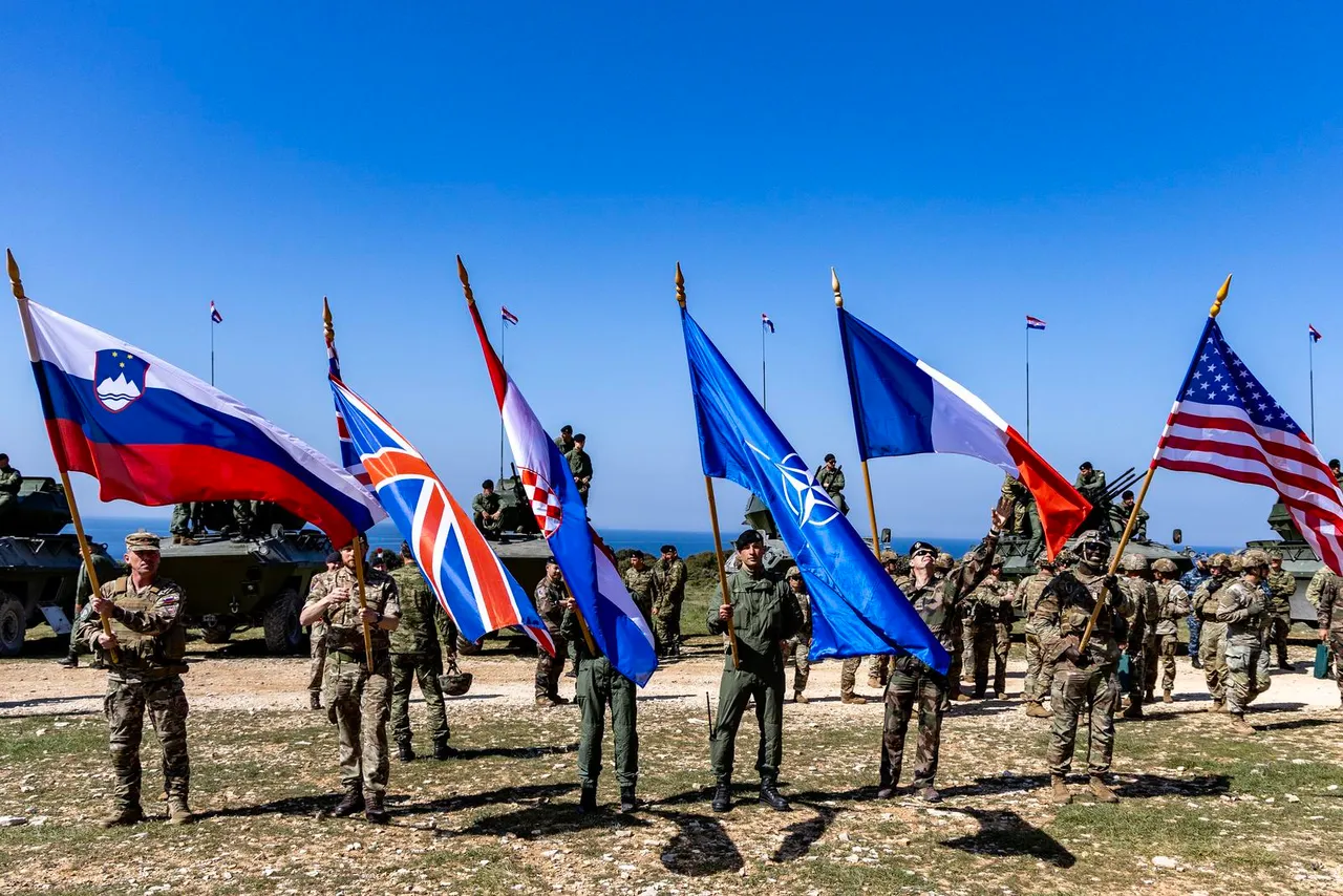 1280×1280-42bcbbf4-9d0c-11eb-8f97-cedfb09875dd (11)