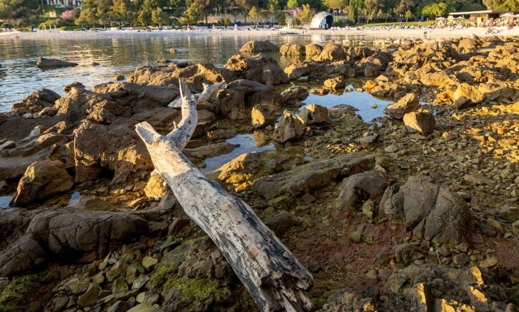 1344c7e1-7ac4-41cf-9472-1d1a732c81ec