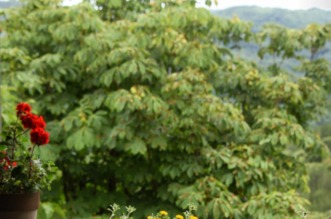 Hum : “Najmanji grad na svijetu” Hum : “Najmanji grad na svijetu”