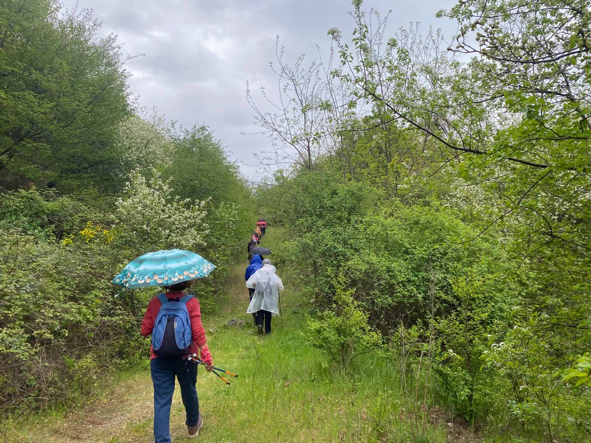 kostrena nordijsko hodanje cvjetnica (4) kostrena nordijsko hodanje cvjetnica (4)