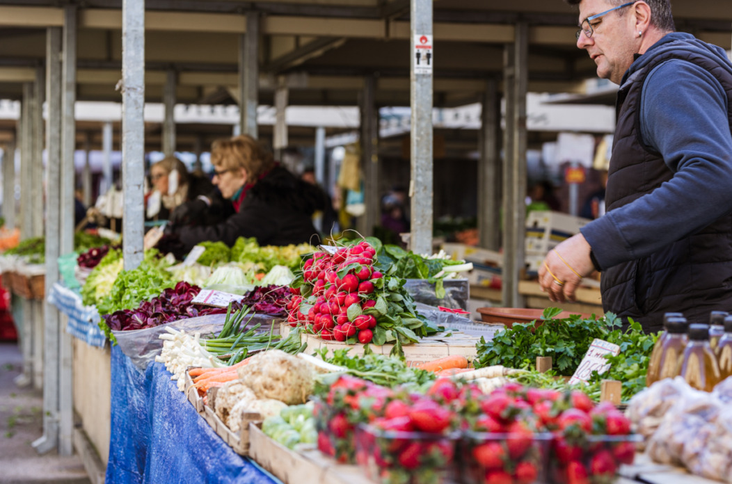 placa-trznica-ilustrativna-49-1 placa-trznica-ilustrativna-49-1